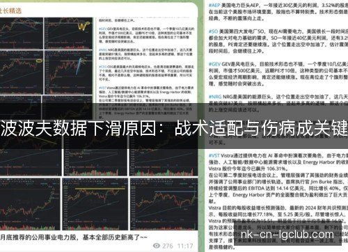 波波夫数据下滑原因：战术适配与伤病成关键